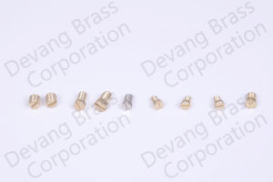 Brass Screw